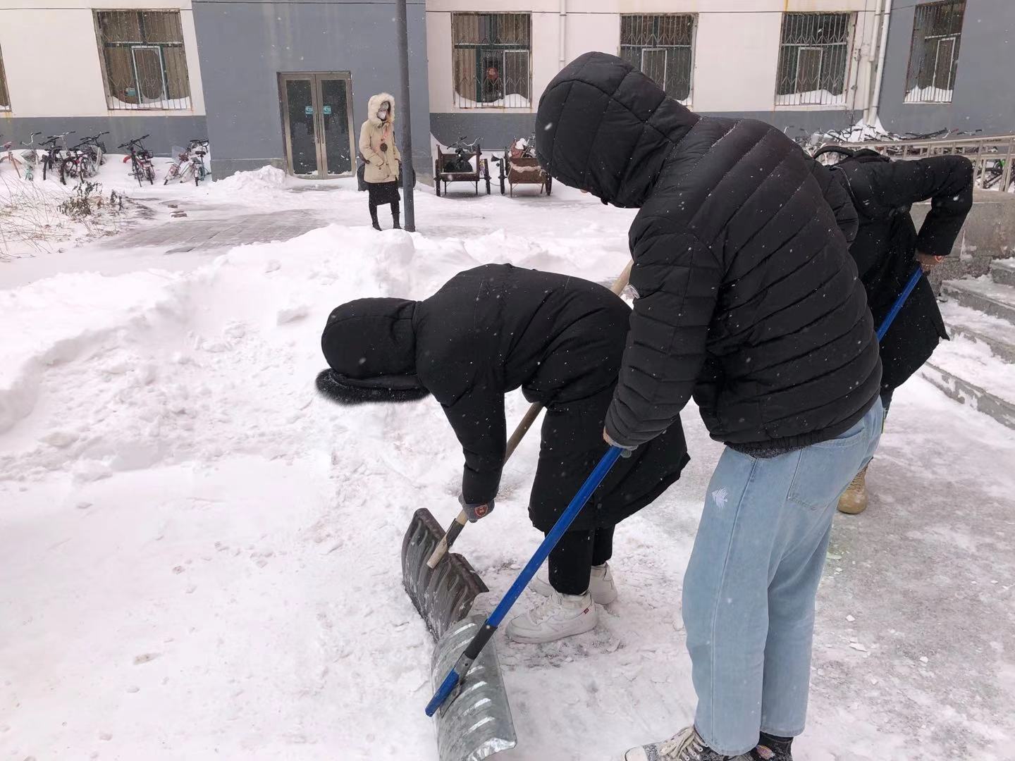 20201123171114477106.jpg